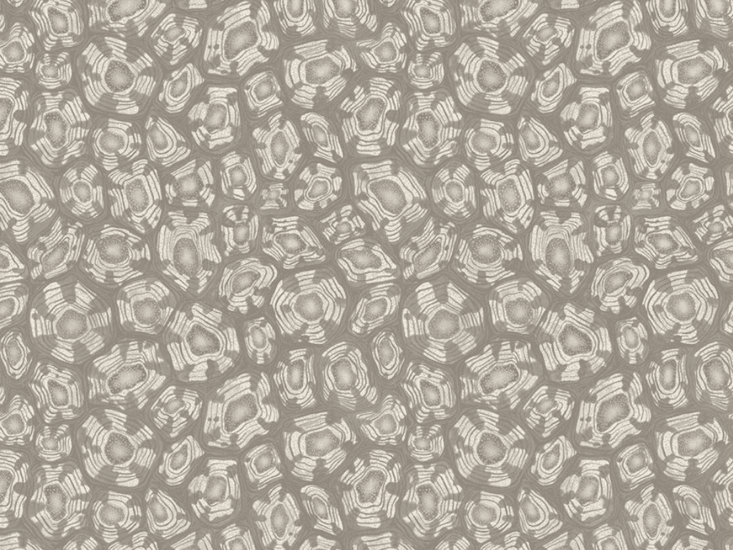 Cole & Son Savanna Shell Behang 119/4022 - LAB COLOUR THE WORLD
