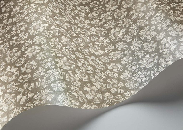 Cole & Son Savanna Shell Behang 119/4022 - LAB COLOUR THE WORLD