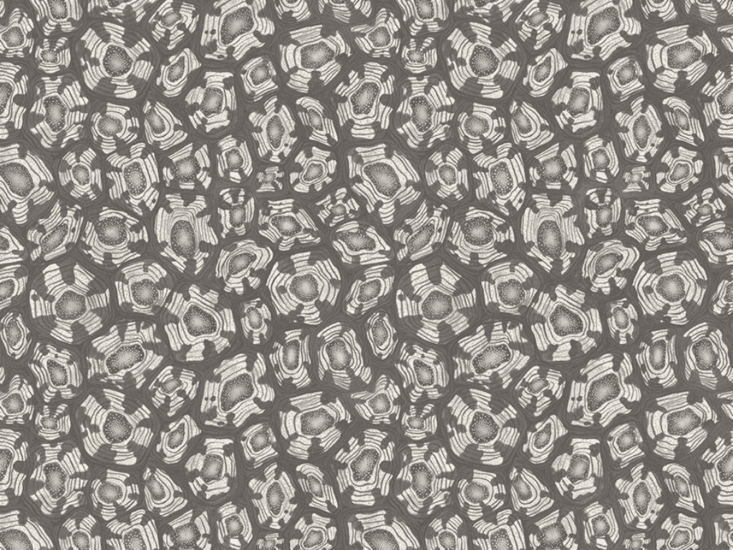 Cole & Son Savanna Shell Behang 119/4023 - LAB COLOUR THE WORLD