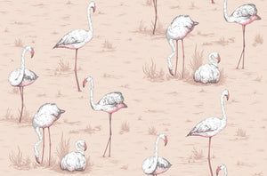 Cole & Son The Contemporary Selection Flamingos behang 112/11039 - LAB COLOUR THE WORLD