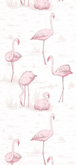 Cole & Son The Contemporary Selection Flamingos behang 95/8045 - LAB COLOUR THE WORLD