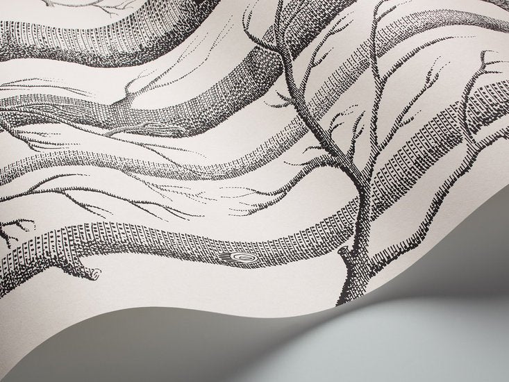 Cole & Son The Contemporary Selection Woods behang 69/12147 - LAB COLOUR THE WORLD