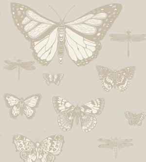Cole & Son Whimsical Butterflies & Dragonflies behang 103/15064 - LAB COLOUR THE WORLD