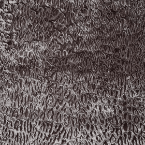 Dutch Walltextile Co. Behang Bobcat 18 - LAB COLOUR THE WORLD