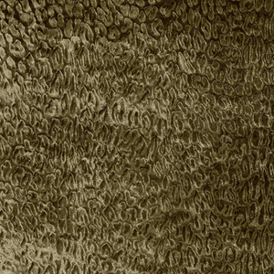 Dutch Walltextile Co. Behang Bobcat 43 - LAB COLOUR THE WORLD