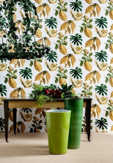Gaston y Daniela Behang Amazonia GDW5111_001 - LAB COLOUR THE WORLD