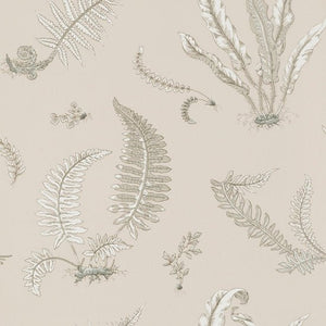 GP & J Baker Ferns Behang BW45044/8 - LAB COLOUR THE WORLD