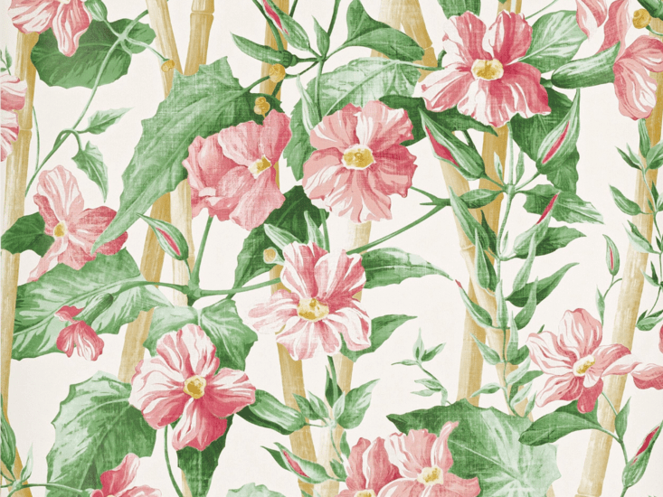 Manuel Canovas Elena Behang 03114-01 - LAB COLOUR THE WORLD