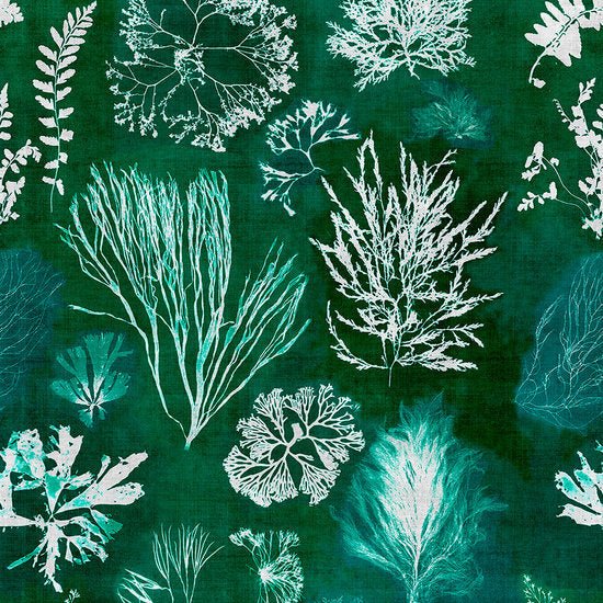 Mind The Gap Algae Behang WP20296 - LAB COLOUR THE WORLD