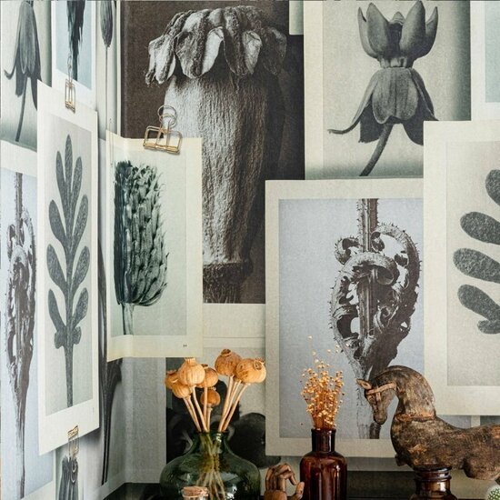 Mind The Gap Blossfeldt's Art Forms Behang WP20595 - LAB COLOUR THE WORLD