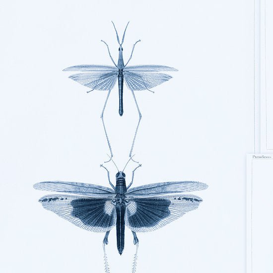 Mind The Gap Entomology Behang WP20235 - LAB COLOUR THE WORLD