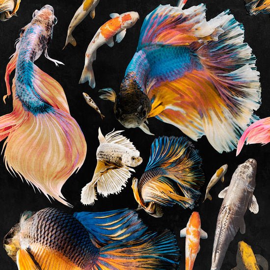 Mind The Gap Goldfish Behang WP20301 - LAB COLOUR THE WORLD
