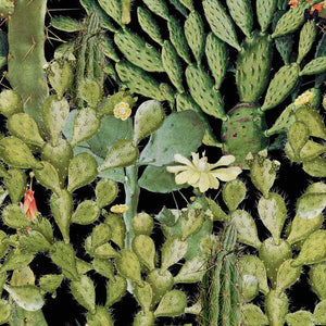 Mind The Gap Opuntia Behang WP20165 - LAB COLOUR THE WORLD