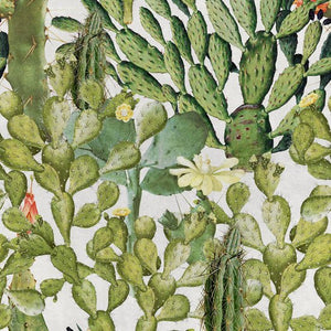 Mind The Gap Opuntia Behang WP20166 - LAB COLOUR THE WORLD