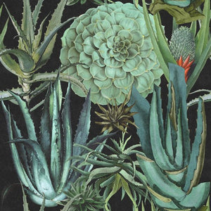 Mind The Gap Succulentus Behang WP20167 - LAB COLOUR THE WORLD