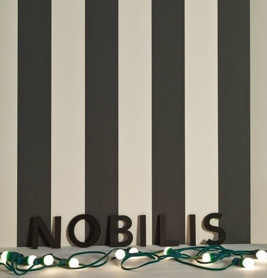 Nobilis Larges Rayures Behang MNT21 - LAB COLOUR THE WORLD