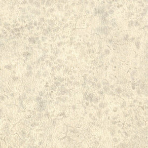 Nobilis Moon Behang DPN20 - LAB COLOUR THE WORLD