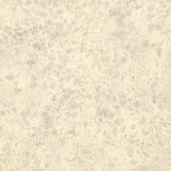 Nobilis Moon Behang DPN20 - LAB COLOUR THE WORLD