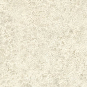 Nobilis Moon Behang DPN21 - LAB COLOUR THE WORLD