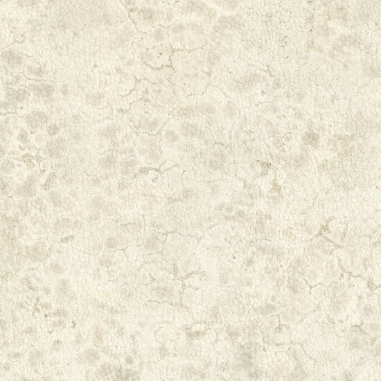 Nobilis Moon Behang DPN21 - LAB COLOUR THE WORLD