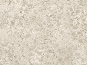 Nobilis Moon Behang DPN22 - LAB COLOUR THE WORLD