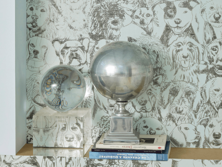 Pierre Frey Designer Dogs Behang FP804002 - LAB COLOUR THE WORLD