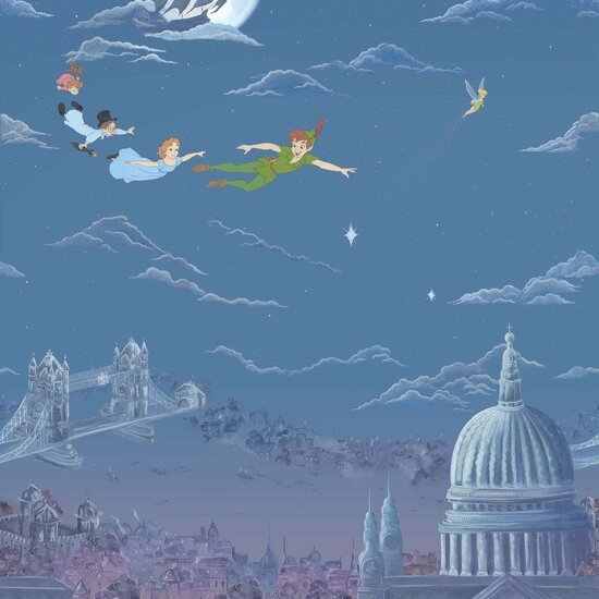 Sanderson Disney Home Peter Pan Behang 217293 - LAB COLOUR THE WORLD