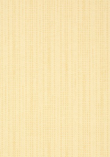 Thibaut Santa Barbara Behang T41103 - LAB COLOUR THE WORLD