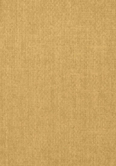 Thibaut Tobago Weave Behang T57113 - LAB COLOUR THE WORLD