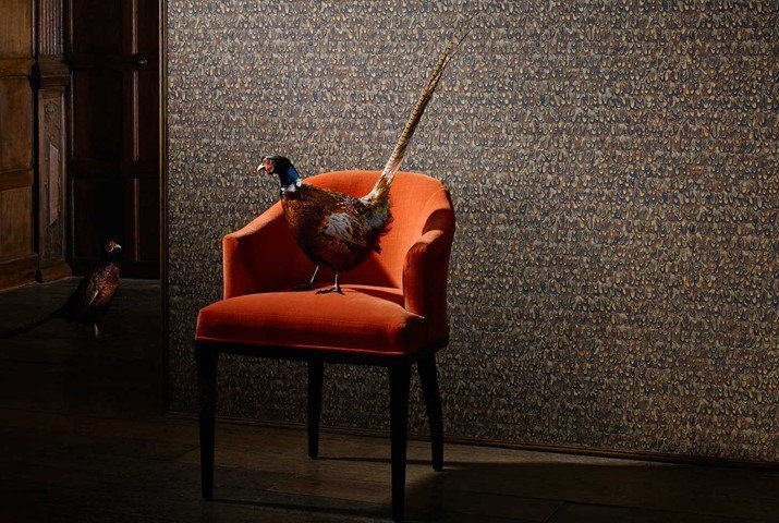 Zoffany Icarus Behang 312674 - LAB COLOUR THE WORLD